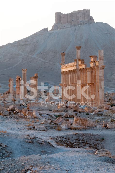 Ancient Civilization In Palmyra Syria Stock Photo Royalty Free