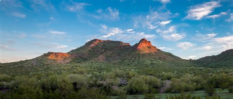 Just the Tips - Sunset at Phoenix Mountain Preserve, Phoenix AZ [OC ...