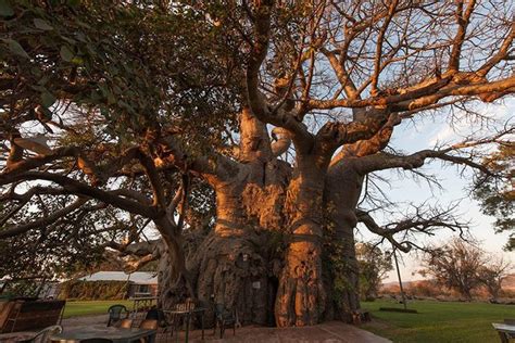 Самые необычные пабы мира » Sivator.com-это увлекательный ...