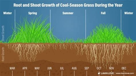 When To Plant Grass In Tennessee