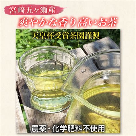 【楽天市場】宮崎茶房 有機釜炒り茶 ティーバッグ 5g×18 釜炒り茶 緑茶 有機緑茶 有機jas認定 無農薬栽培 宮崎県産 送料無料：エバーセレクト