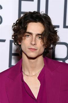 Timothee Chalamet Haircut