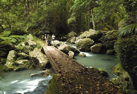 Obi Obi Creek Sunshine Coast Qld Sunshine Coast Attractions