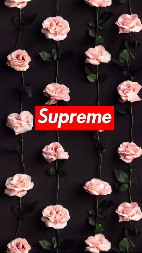 Supreme Rose Wallpapers - Wallpaper Cave