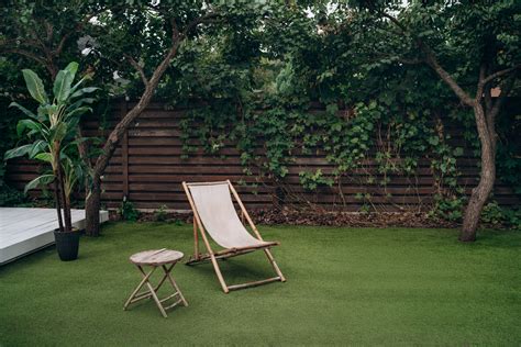 El Poder De La Naturaleza En Tu Hogar C Mo Cuidar Y Disfrutar De Tus