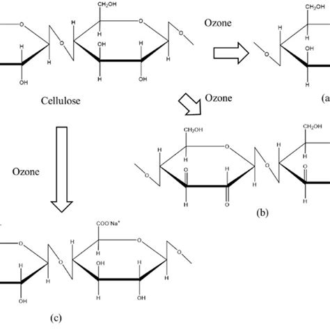 Chemical Reaction Between Ozone And Cellulose Resulting In A Cleavage Download Scientific