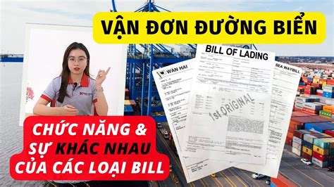 Bill Of Lading B L VẬn ĐƠn ĐƯỜng BiỂn PhÂn BiỆt Original B L Surrendered B L VÀ Seaway B