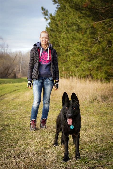 Blonde German Shepherd Woman Free Photo On Pixabay Pixabay