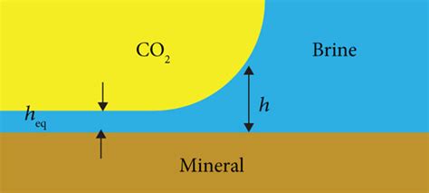 Conceptual Model Of The Interfacial Region Of The Co Brine Mineral