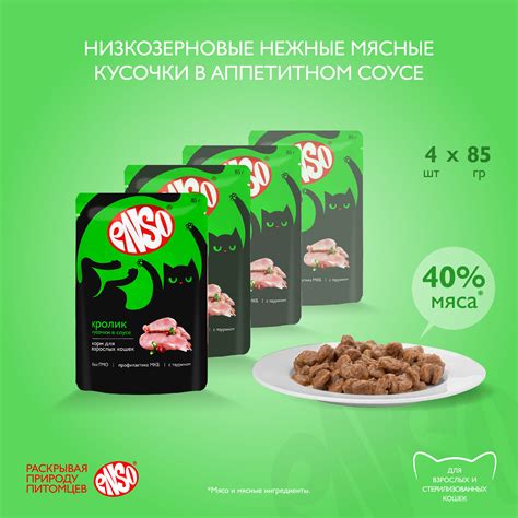 Влажные корма для кошек ENSO – купить в интернет-магазине OZON по ...