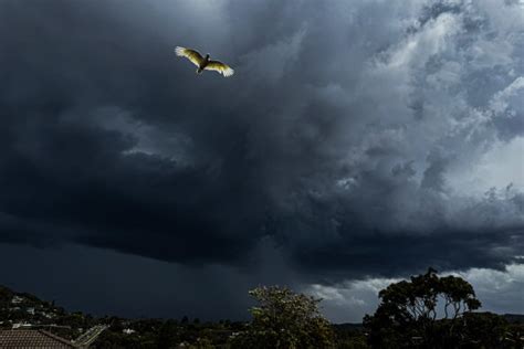 Australia Summer Weather Forecast Australian Summer Set To Be Hotter