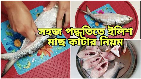 How To Cut Hilsha Fish Easily