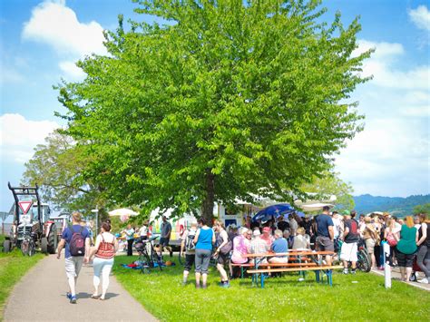 Markgr Fler Gutedeltag Auf Der Badischen Weinstra E Zwischen