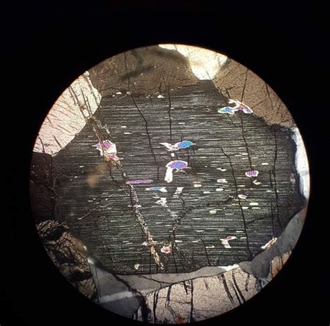 Learning Geology 30 Thin Section Photos That Will Develop Your