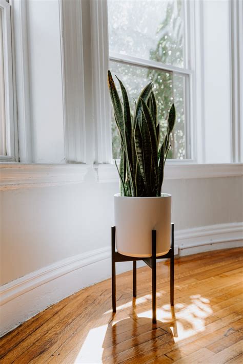 Plantas Grandes Aprende A Hacer Macetas Recicladas Architectural Digest