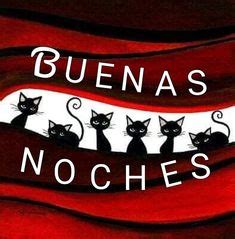 Ideas De Buenas Noches Con Gatitos Buenas Noches Saludos De