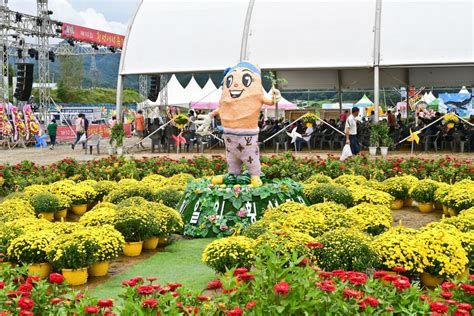 횡성더덕축제 최신 축제 공연 행사 정보와 주변 관광 명소 및 근처 맛집 여행 정보