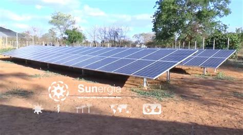 Fazenda Solar Reduz Custos Energia Elétrica Notícias A Sunergia