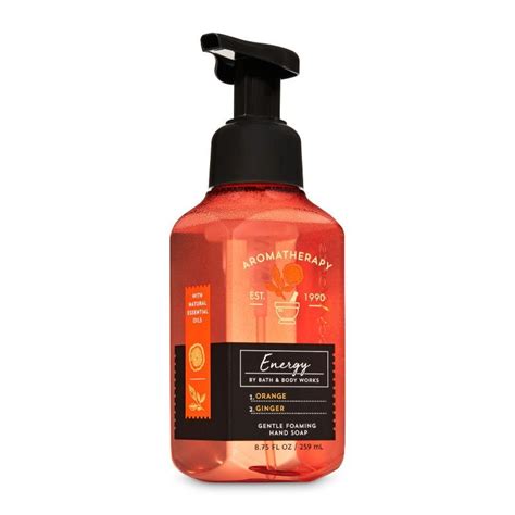 Bath And Body Works Aromatherapy Orange Ginger Gentle Foaming Hand