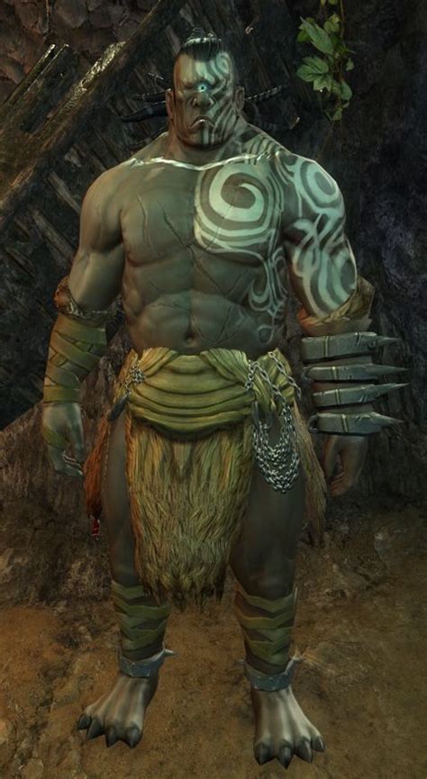 Gort – Guild Wars 2 Wiki