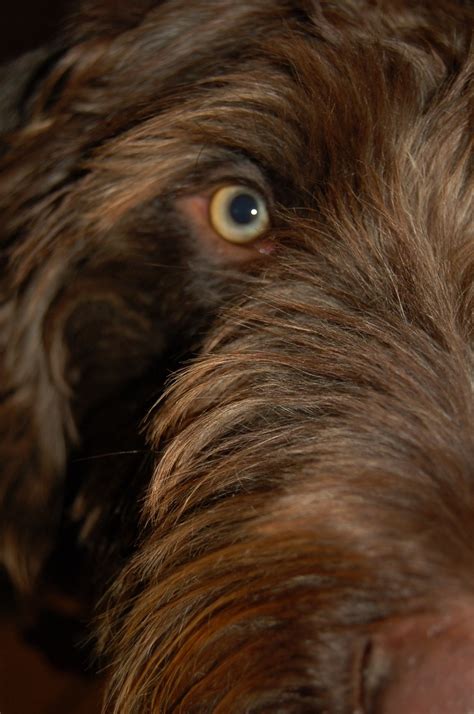 The Enigmatic Eyes Of Gwp