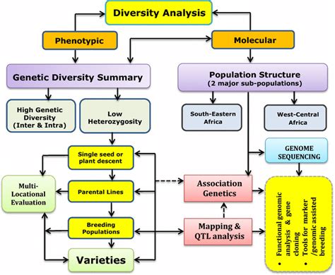 Conceptual Framework Of Genetic Diversity And Population Structure