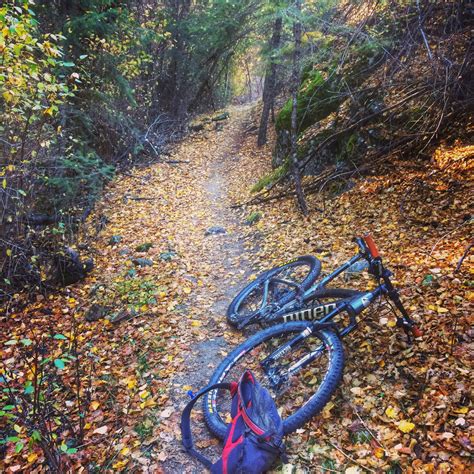 Dry Creek Trail Map Boise Trails