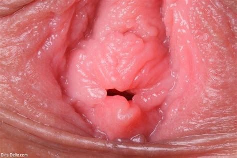 Sexy Shaved Asian Teen Yuzuha Hiyoshi Girls Delta Yuzuha Hiyoshi Porn Pic