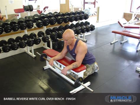 Reverse Barbell Wrist Curl Over Bench Video Exercise Guide And Tips