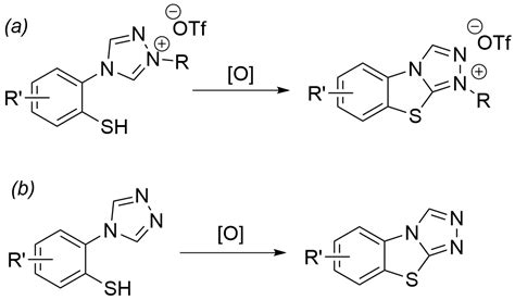 Mechanistic Investigations Into The Formation Of Sulfur Containing