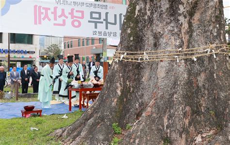 함양 수령 500년 학사루 느티나무 당산제 지내 오마이뉴스