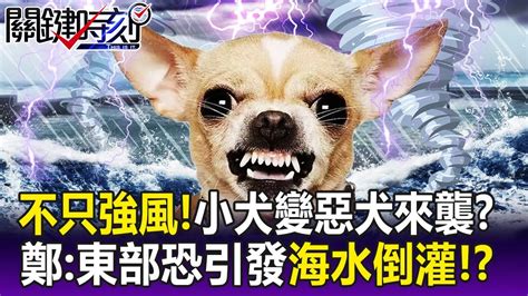 【關鍵精華】不只強風！小犬颱風「暴雨強碰大潮」變惡犬來襲？ 鄭：東部恐引發海水倒灌！？ 劉寶傑 Youtube