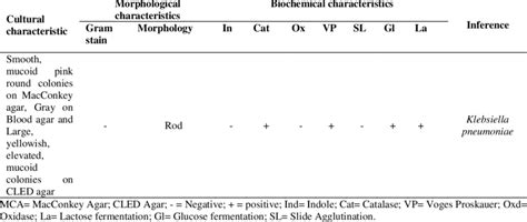 Cultural Morphological And Biochemical Characteristics Of Klebsiella