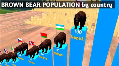 Brown Bear Population By Country 2023 Population YouTube