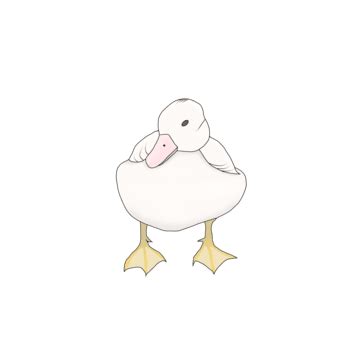 Imagen De Pato PNG Vectores PSD E Clipart Para Descarga Gratuita