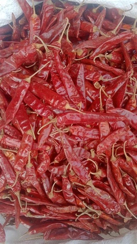 A Grade Dry Armour Chilli Andhra Pradesh Packaging Size Kg At