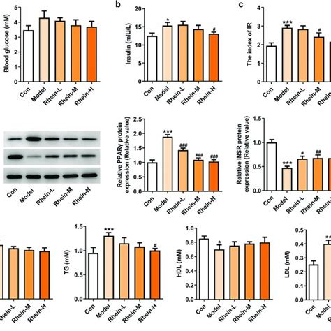 Effects Of Rhein On Inflammation And Oxidative Stress The Rats Of