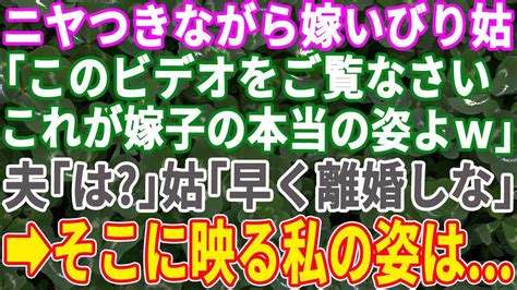 【スカッとする話】嫁をいびるのが趣味な姑「このビデオをみて見なさい。これが嫁子の正体よ」夫「は？」姑「こんな女とはすぐに離婚なさい」→そこに