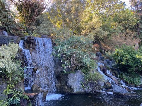 Los Angeles County Arboretum