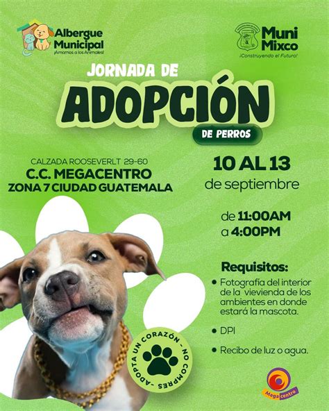 Albergue Municipal... - Albergue Municipal de Mascotas Mixco