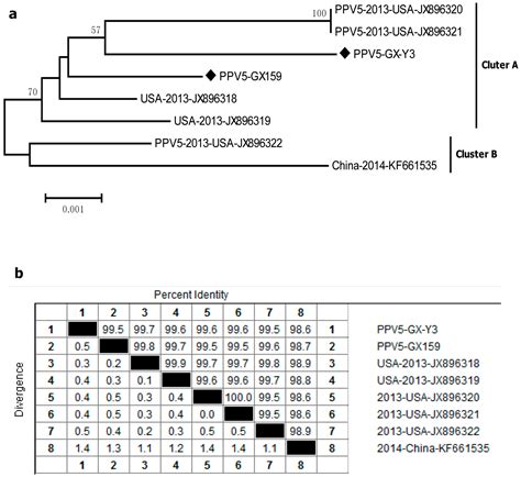 Molecular Epidemiology Of Porcine Circovirus Type 2 And Porcine