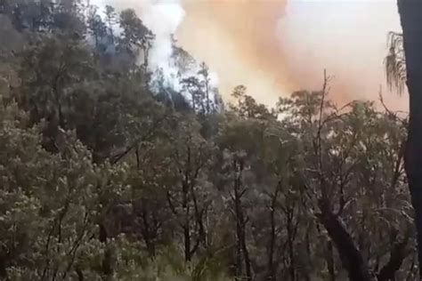 Kebakaran Hutan Di Gunung Lawu Warung Mbok Yem Ikut Terbakar Kabar Fajar