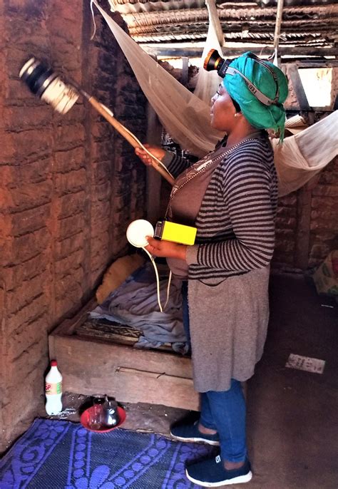 INVESTIGATION: Molecular detection and maternal transmission of a