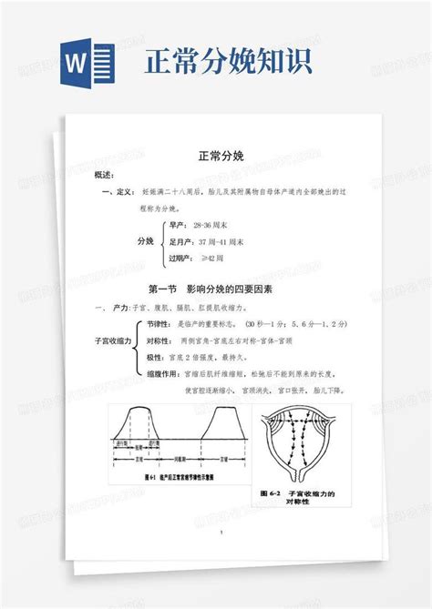 正常分娩知识 Word模板下载 编号qowevwyy 熊猫办公