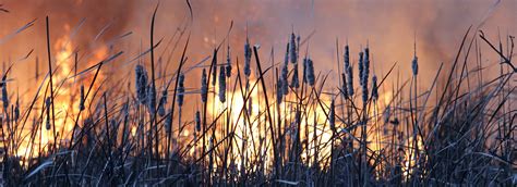 Drone Arrival Assists With Prescribed Fires Drone Arrival