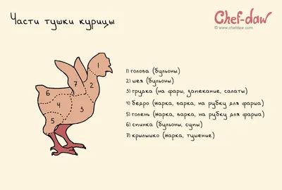 Части курицы [70 фотографий]