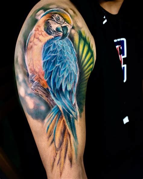 Realistic Parrot Tattoo by Mengni Yang • Tattoodo