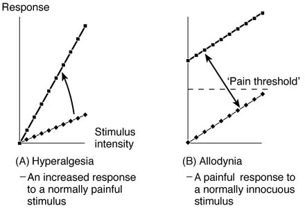 Graphical Representation Of Hyperalgesia And Allodynia Stimulus