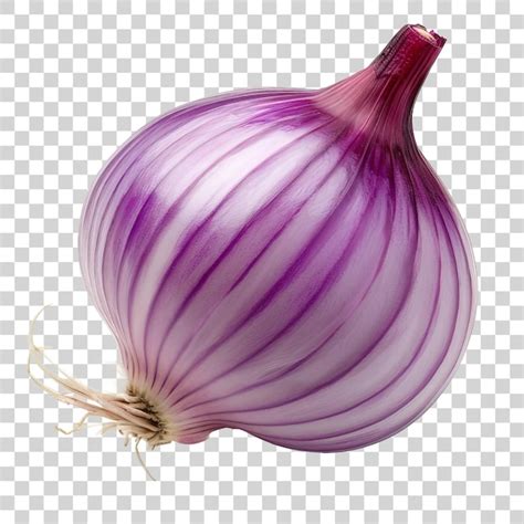 Premium PSD Onion Isolated On Transparent Background PNG