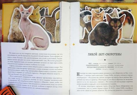 Книга про породы кошек